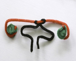 female genitals pipe cleaner-front